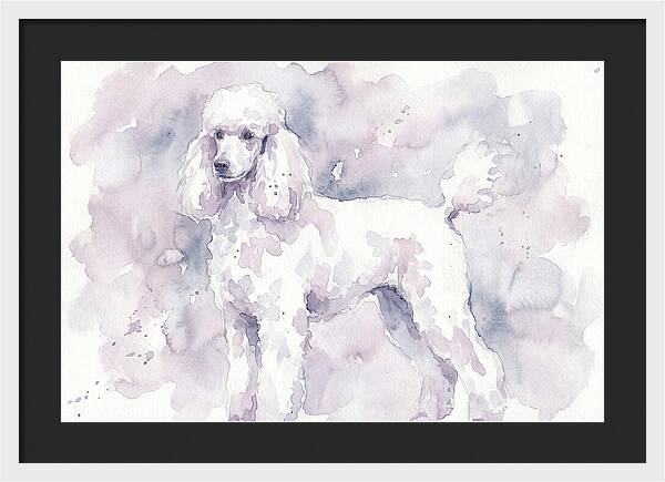 Poodle In Soft Watercolor