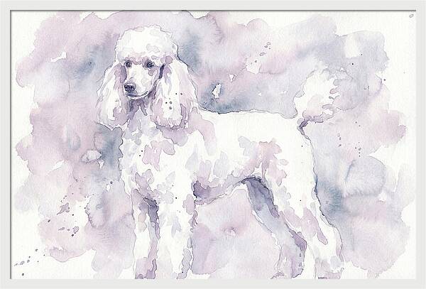 Poodle In Soft Watercolor
