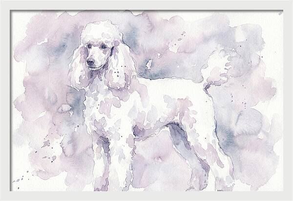 Poodle In Soft Watercolor