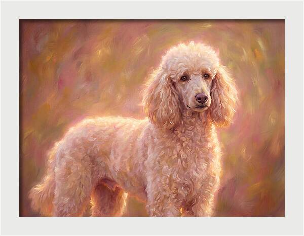 Poodle Portrait