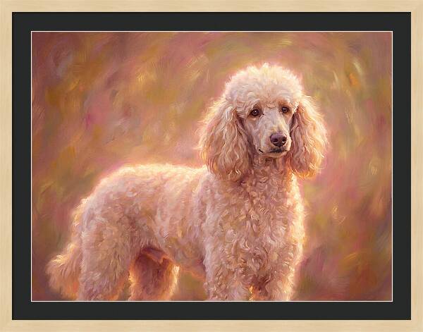 Poodle Portrait