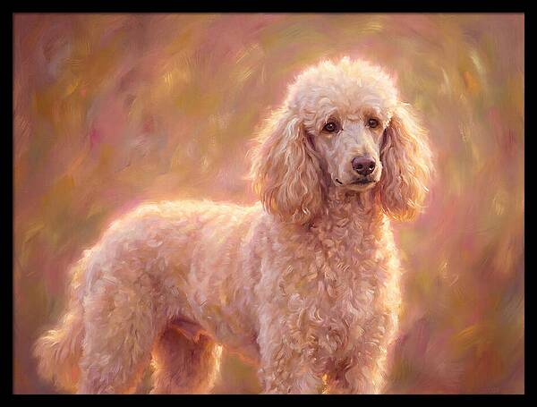 Poodle Portrait