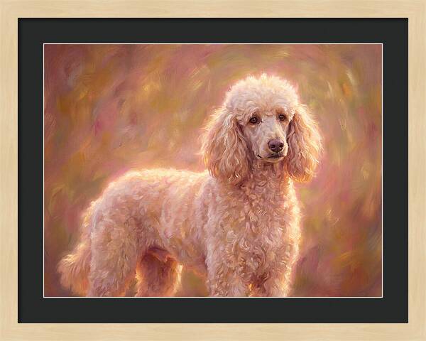 Poodle Portrait