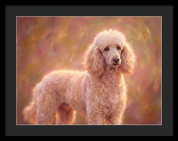 Poodle Portrait