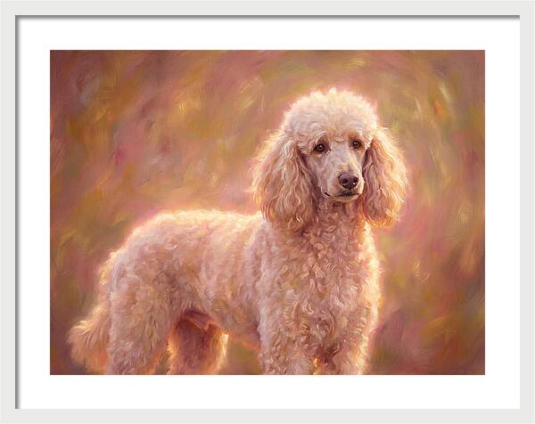 Poodle Portrait