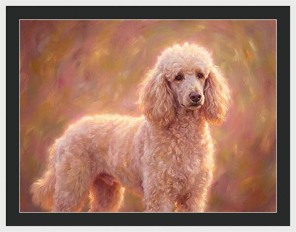 Poodle Portrait