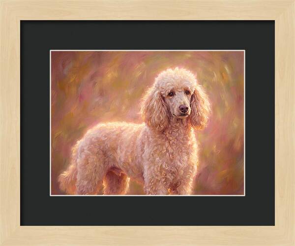 Poodle Portrait