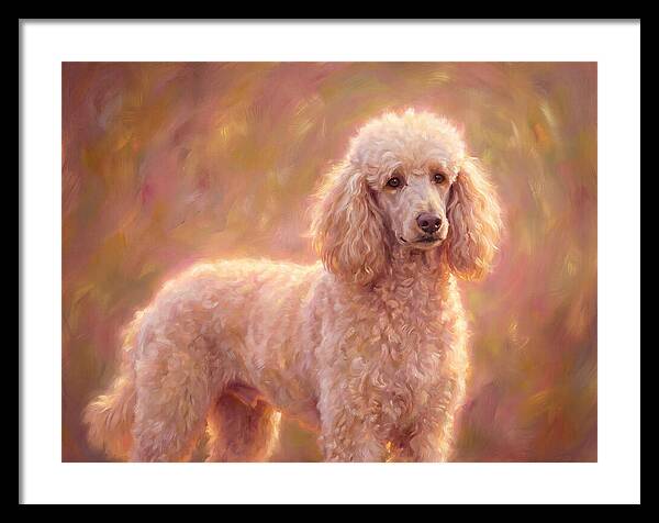 Poodle Portrait