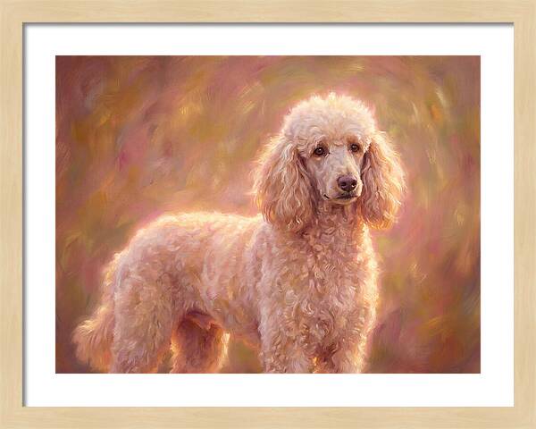 Poodle Portrait