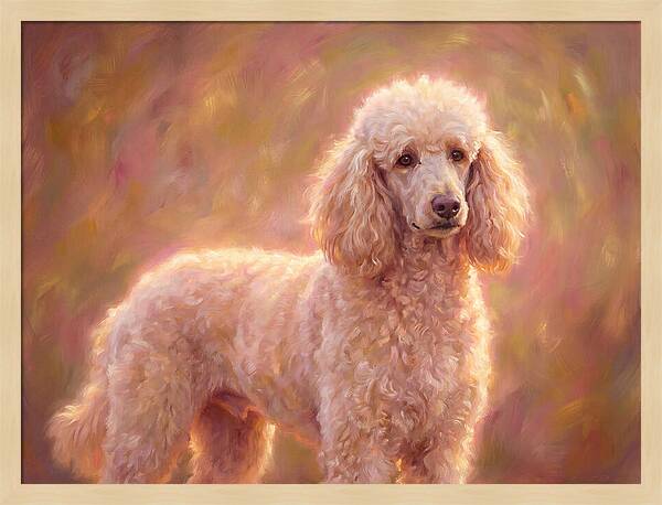 Poodle Portrait