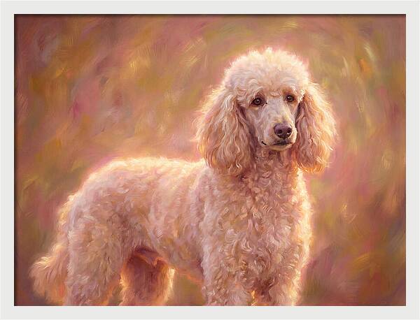 Poodle Portrait