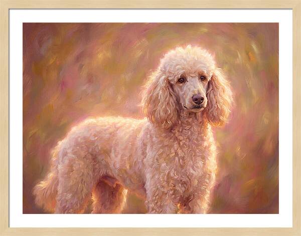 Poodle Portrait