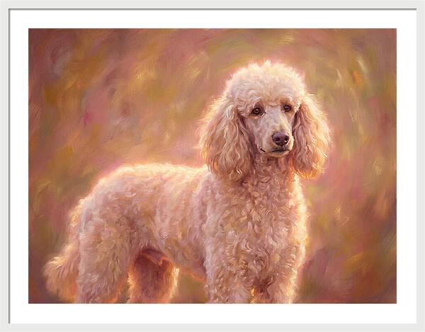 Poodle Portrait