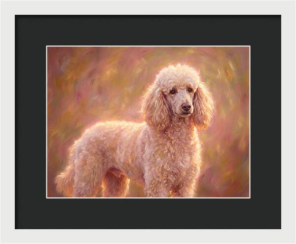 Poodle Portrait