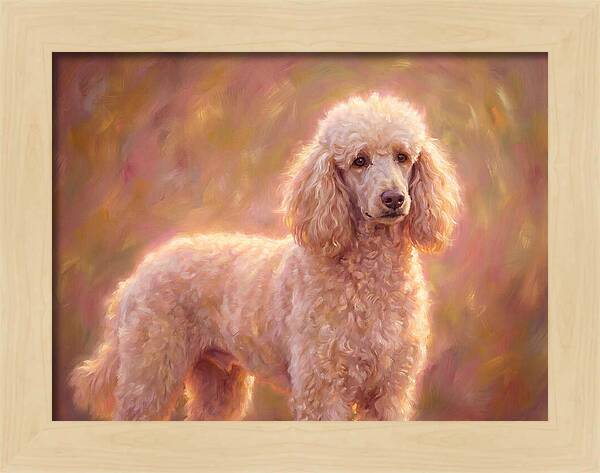 Poodle Portrait