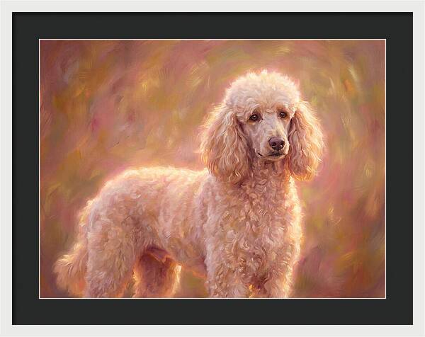 Poodle Portrait