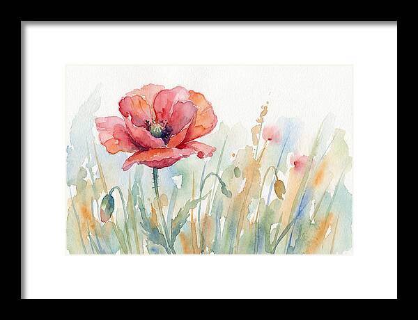 Poppy Bloom In Watercolor