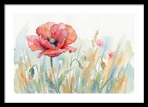 Poppy Bloom In Watercolor