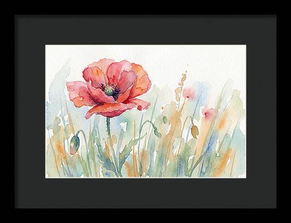 Poppy Bloom In Watercolor