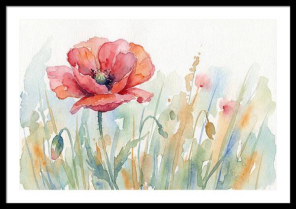 Poppy Bloom In Watercolor