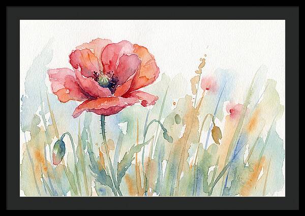 Poppy Bloom In Watercolor