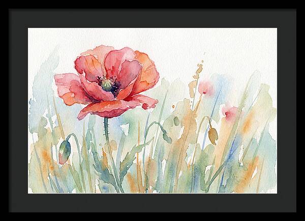 Poppy Bloom In Watercolor