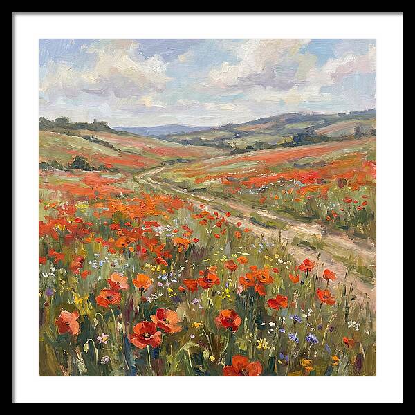 Poppy Fields In Bloom