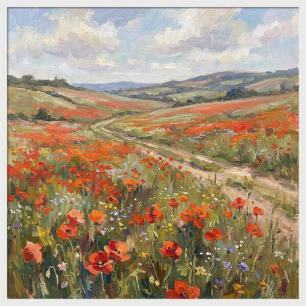 Poppy Fields In Bloom