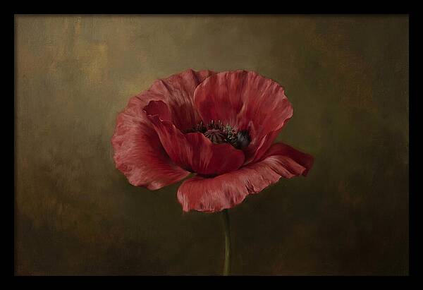 Poppy In Bloom
