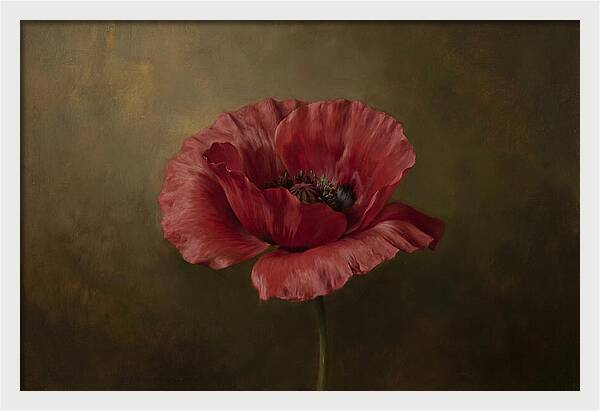 Poppy In Bloom