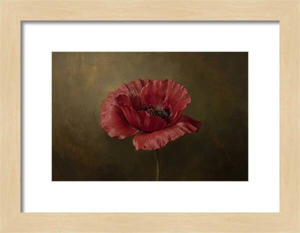 Poppy In Bloom