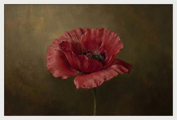 Poppy In Bloom