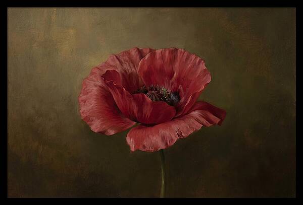 Poppy In Bloom