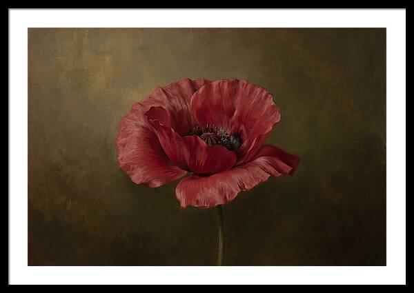 Poppy In Bloom