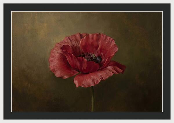 Poppy In Bloom