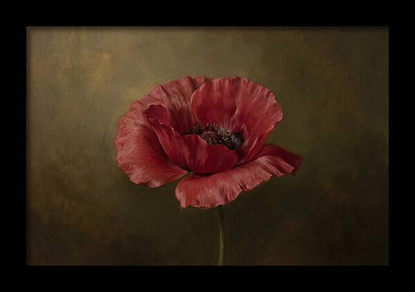 Poppy In Bloom