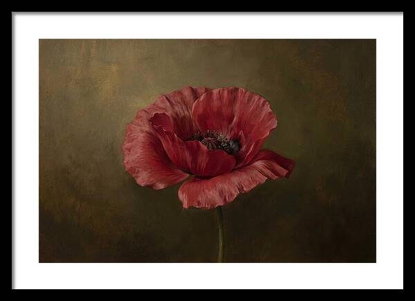 Poppy In Bloom