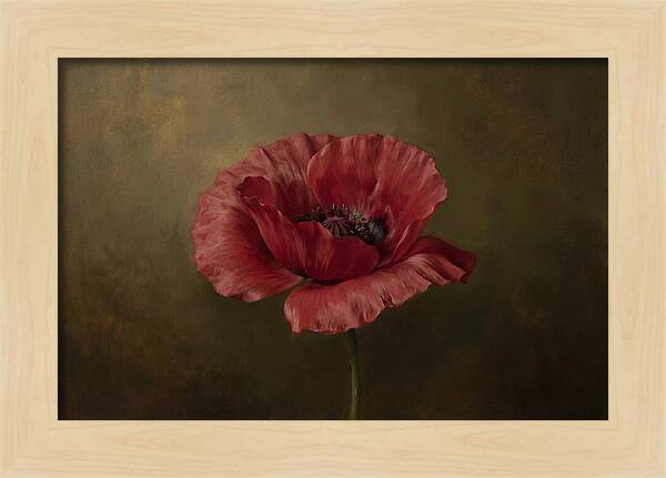 Poppy In Bloom