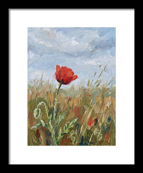 Poppy In The Meadow