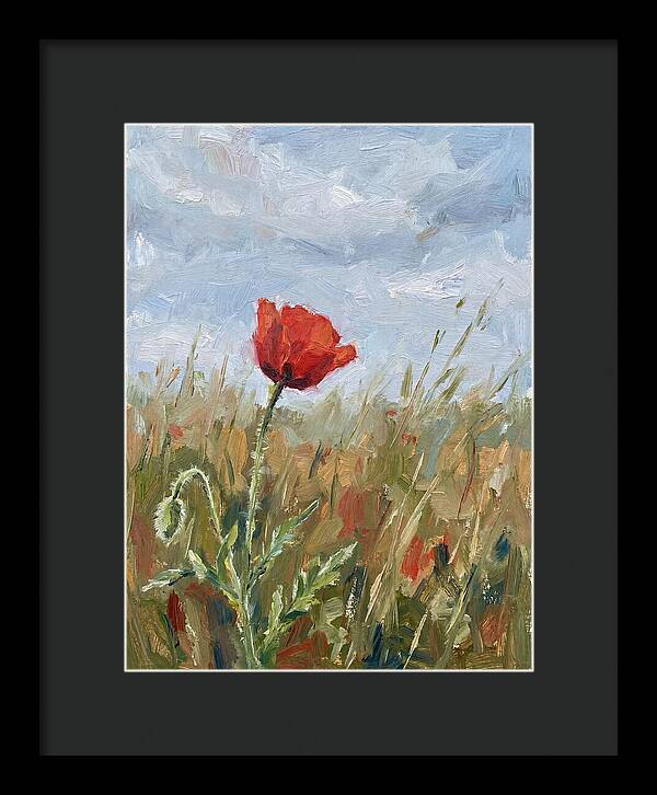 Poppy In The Meadow