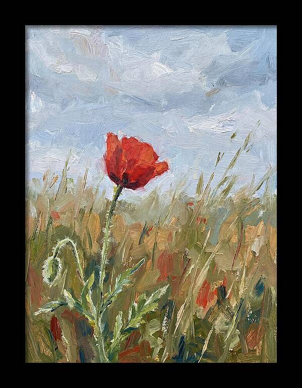 Poppy In The Meadow