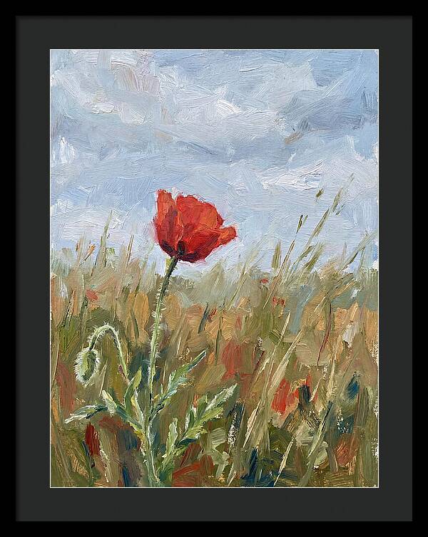 Poppy In The Meadow