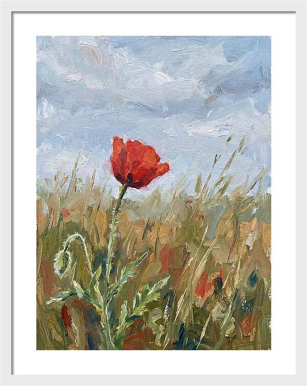 Poppy In The Meadow