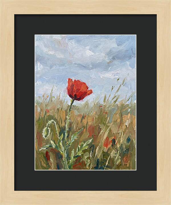 Poppy In The Meadow