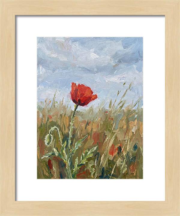 Poppy In The Meadow