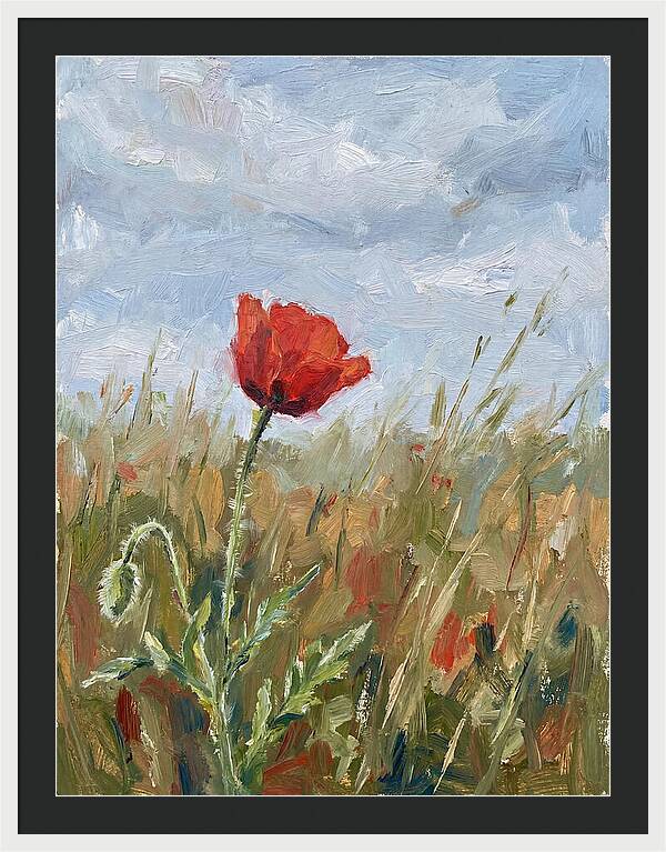 Poppy In The Meadow