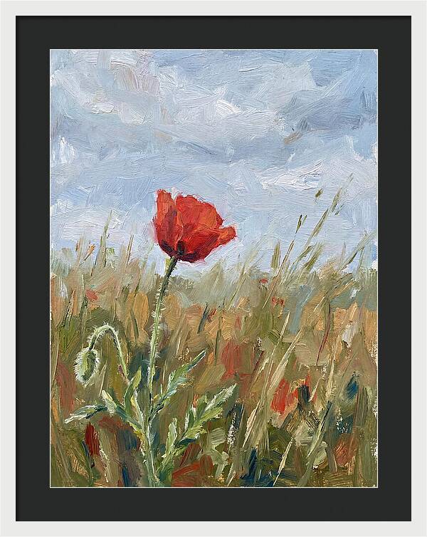 Poppy In The Meadow