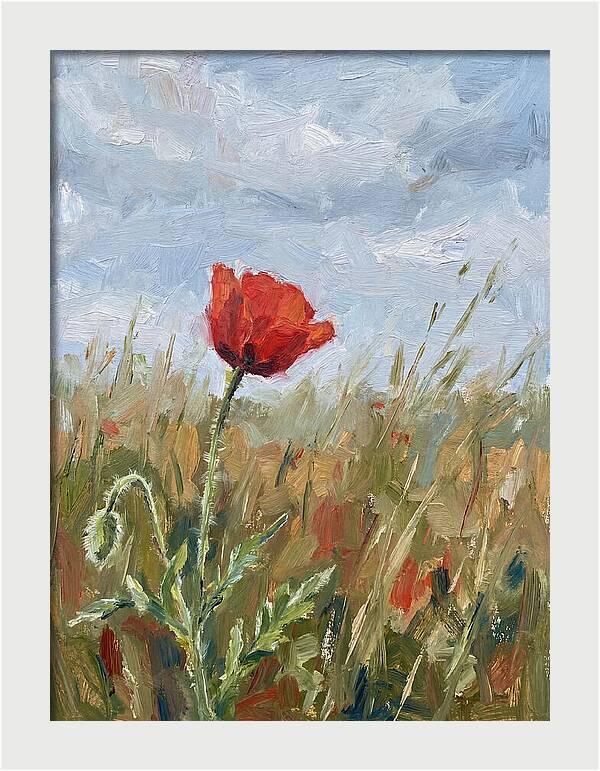 Poppy In The Meadow