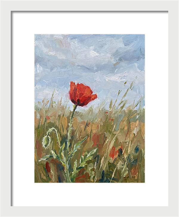 Poppy In The Meadow