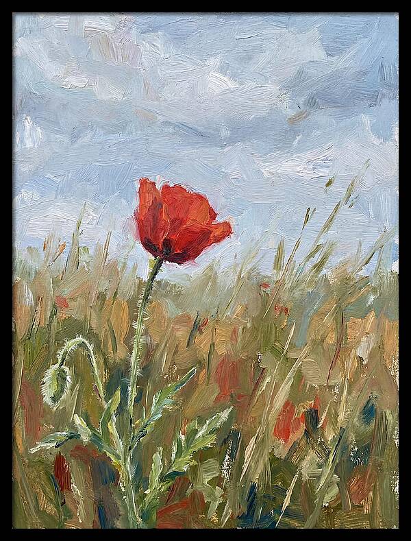 Poppy In The Meadow